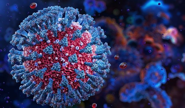 Nipah virüsü DSÖ’den Türkiye için risk açıklaması