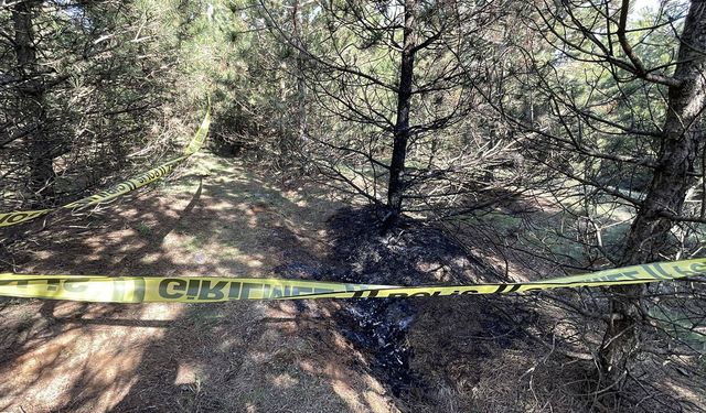 Eskişehir'de kadın cinayeti davası: Zanlı hakim karşısında