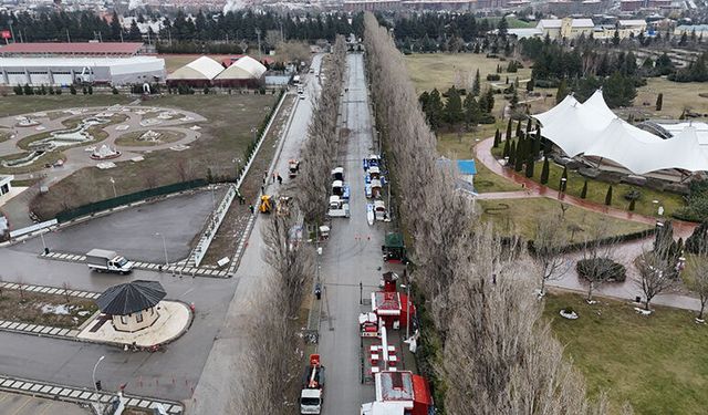 Ekolojik ömrünü tamamlayan kavaklar yerini çınarlara bırakıyor