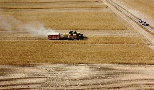 Çiftçilere destek ödemesi bugün yapılacak