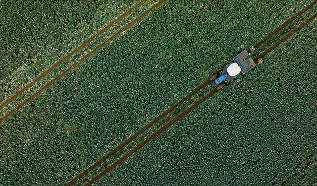 Ocak Yağışları Su Kaynakları ve Tarıma Can Verdi