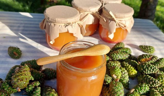 Bir şişede doğal şifa: Kozalak şurubu