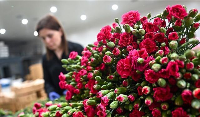 Arife Çiçeği Nedir? Unutulan Bir Çocukluk Gururu
