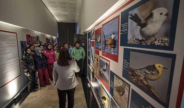 Erzurum Biyoçeşitlilik Müzesi’nde Tıbbi Bitki Sergisi