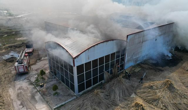 Afyonkarahisar’da Kamış Fabrikasında Yangın: Alevler Metrelerce Yükseldi