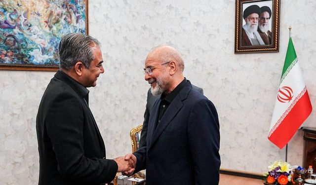 Pakistan İçişleri Bakanı Naqvi Tahran'da temaslarda bulundu