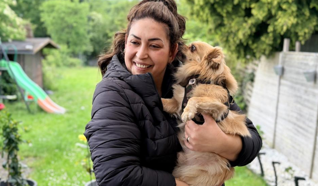 Almanya'da köpek sahiplerine sıkı kurallar ve 25 bin euro ceza