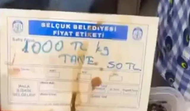 Bakanlık Harekete Geçti: Tanesi 50 Liralık Zeytine Ceza Kesildi