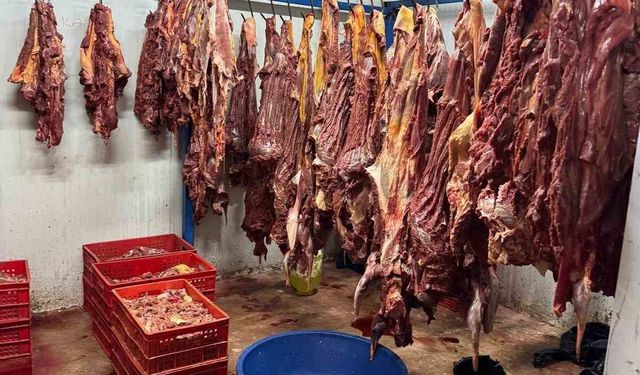 Bakanlık İfşa Etti: Köfte ve Lahmacunda Şok Eden İçerikler