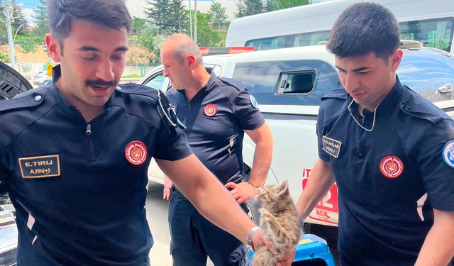Eskişehir'de Motor Bölümüne Sıkışan Kediyi İtfaiye Kurtardı