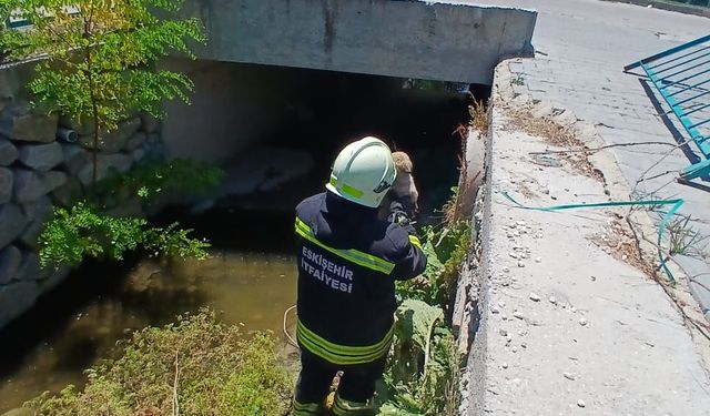 Sivrihisar'da su kanalına düşen yavru köpeği itfaiye kurtardı