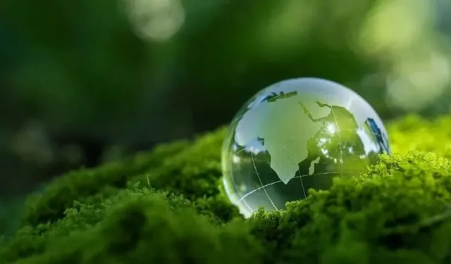 Türkiye’nin Karbon Piyasasında Yeni Dönem Başlıyor