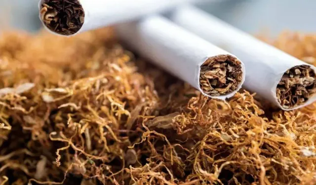 2015 Sonrası Doğanlara Ömür Boyu Sigara Yasağı