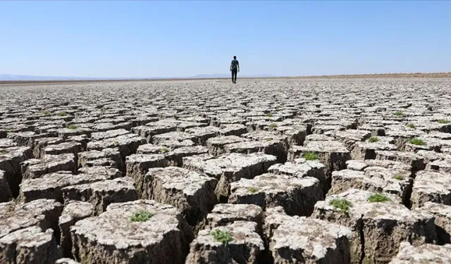 Yüzyılın sonuna kadar dünyanın yüzde 40'ı kurak alana dönüşecek