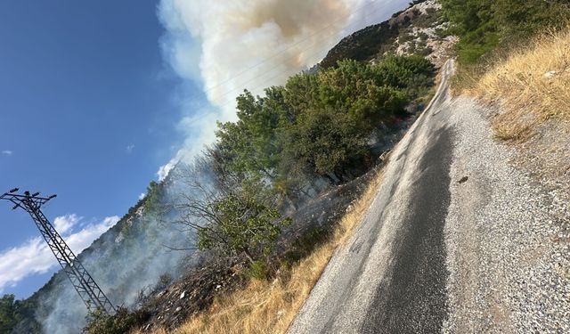 Antalya Akseki'deki Orman Yangını