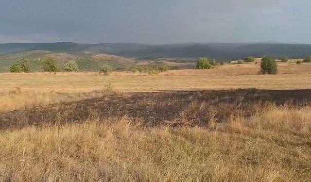 Bolu'da Ağaca Düşen Yıldırım Yangın Çıkardı