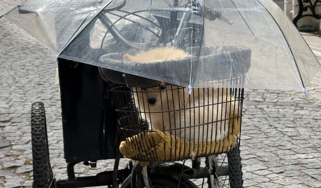 Eskişehir'de Köpeğini Yağmurdan Böyle Korudu