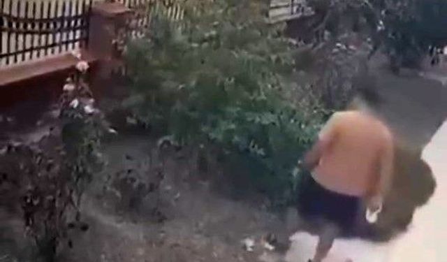 İzmir'de Yavrulu Kediye Tekme Atan Şüpheli Yakalandı