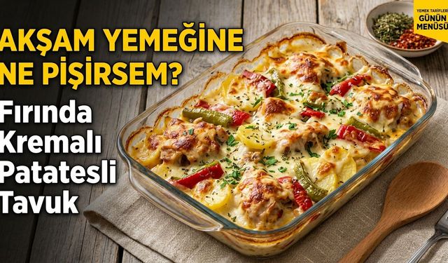 Akşamın Kurtarıcısı Kremalı Patatesli Tavuk