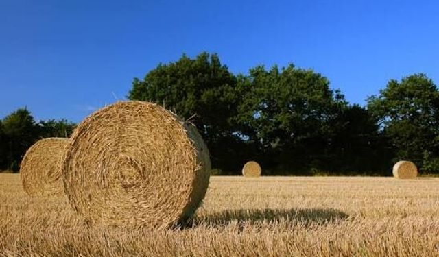 Tekirdağ Malkara’da Saman Balyasının Altında Kalan Kişi Öldü