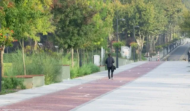 Türkiye Yeşil Üniversite Sıralamasında Avrupa Birincisi