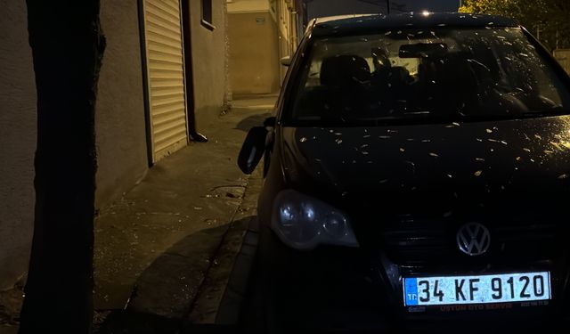 Odunpazarı’nda İki Otomobilin Dikiz Aynasına Zarar Verildi