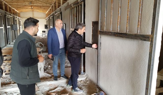 Eskişehirde 36 Atlık Barınak Projesi Devam Ediyor