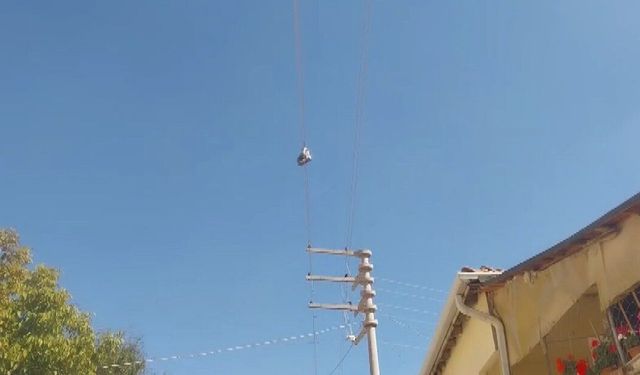 5 yıldır elektrik telinde duran botlar mahalleliyi endişelendiriyor!