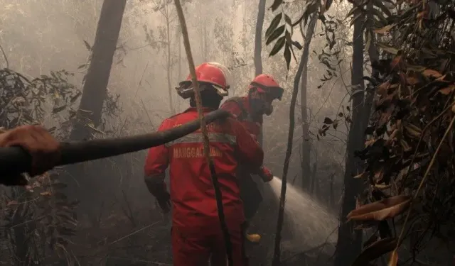 Endonezya’da Orman Yangınlarına Müdahale Artırıldı
