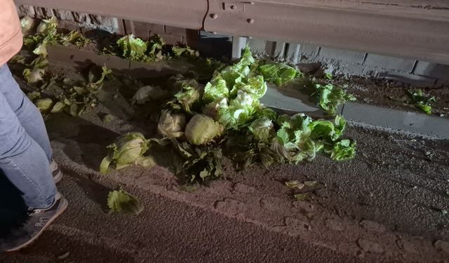 Eskişehir Çevre Yolunda Tonlarca Marul Yola Saçıldı: Alt Geçitte Kamyonet Devrildi!