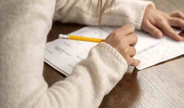 MEB’in Ortak Yazılı Sınav Sistemi Rehberi Erişime Açıldı