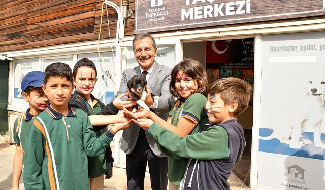Tepebaşı Doğal Yaşam Merkezi binlerce can dosta umut oldu