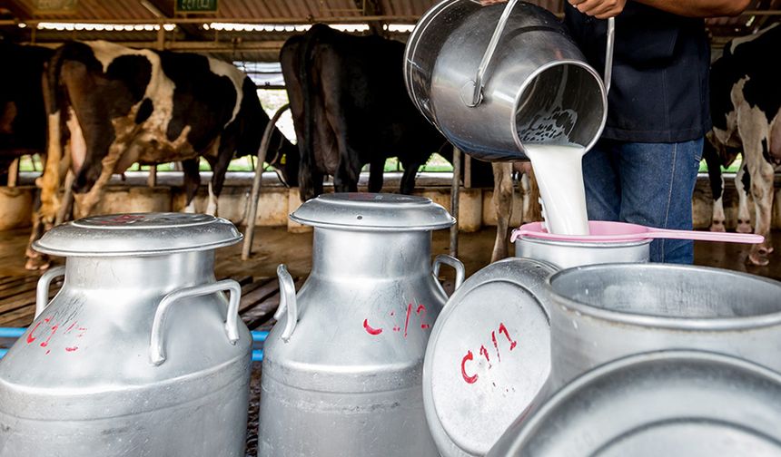 Hayvancılık ve süt üretimi bitiyor