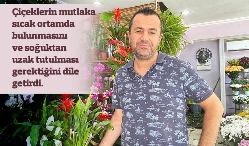 Kış aylarında çiçek bakımını anlattı