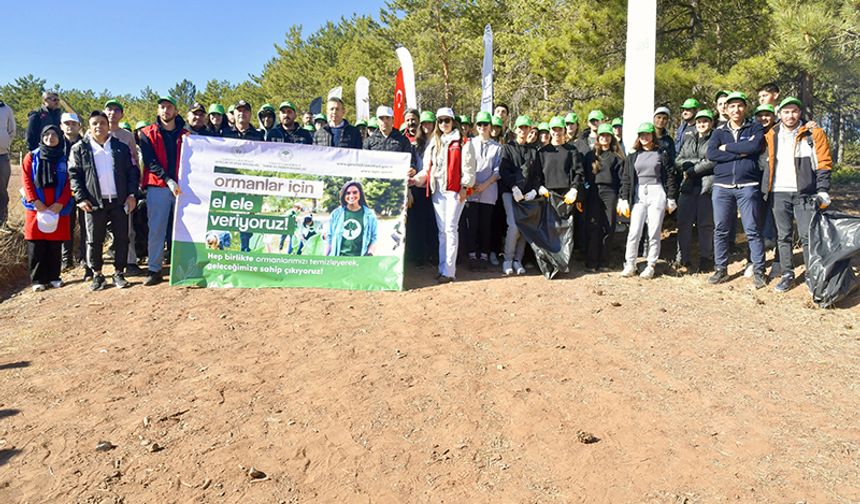 Bürokratlar ve gençler ormanları temizledi