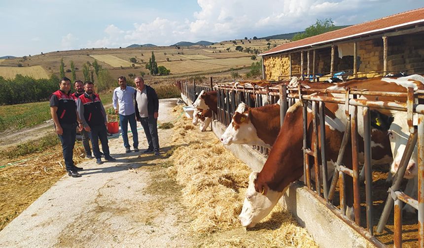 Hastalıktan ari 200 işletme hedefiyle çalışmalar devam ediyor