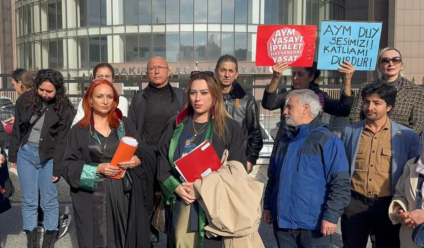 İstanbul Bakırköy'de köpeğe istismar davası sonuçlandı!