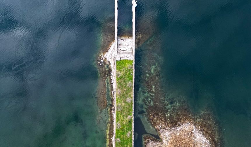 Sapanca Gölü’nden sevindiren haber