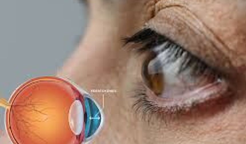 Akıllı mercekler herkes için uygun mu?