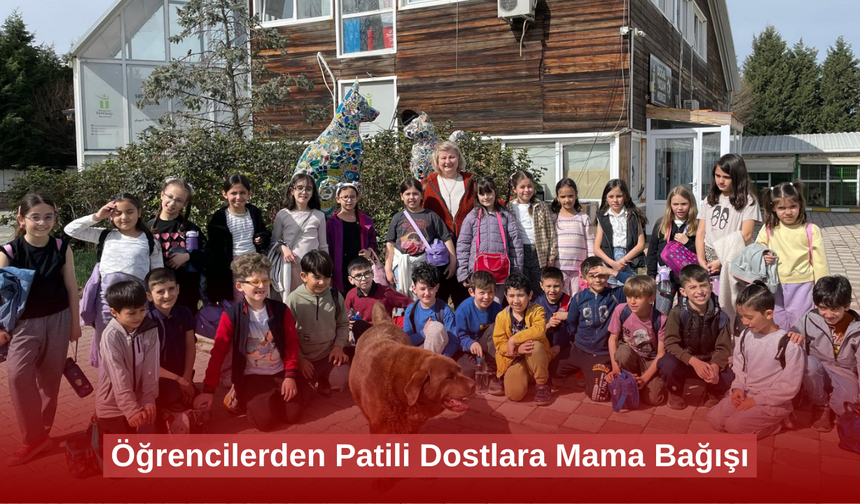 Öğrencilerden Patili Dostlara Mama Bağışı