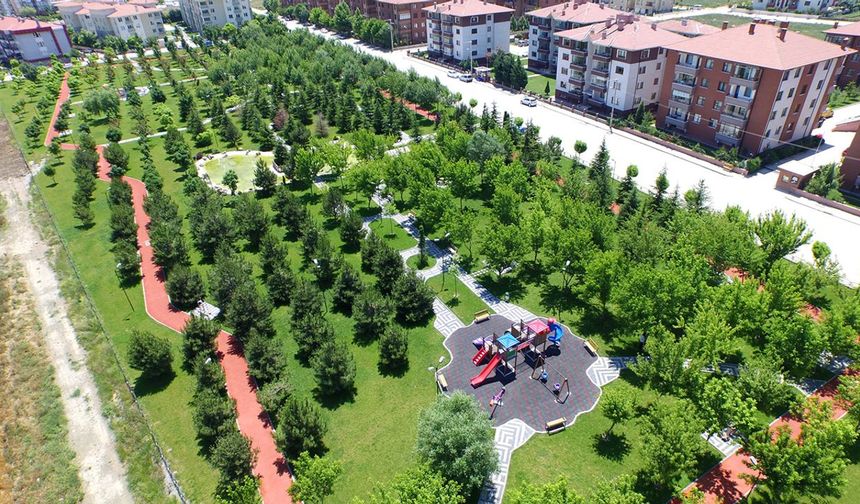 Yeşillik: Doğanın kalbi ve sağlığın kaynağı