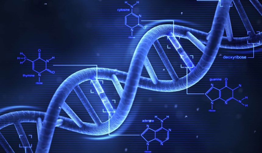 DNA'nın keşfi bilim dünyasında devrim yarattı