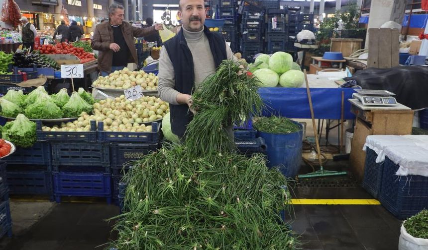 Doğada Kendiliğinden Yetişiyor, Faydası Saymakla Bitmiyor
