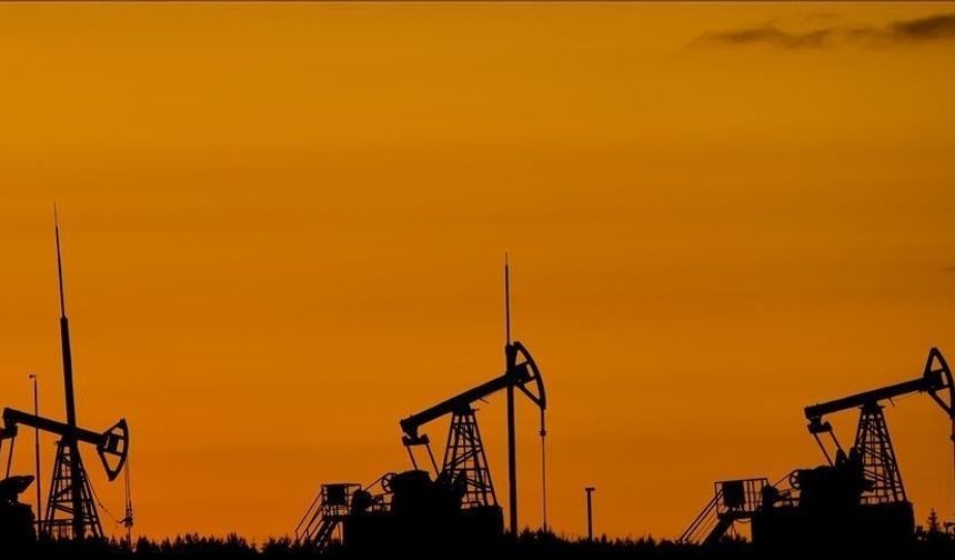 Suudi Arabistan'da 14 yeni petrol ve doğalgaz sahası bulundu