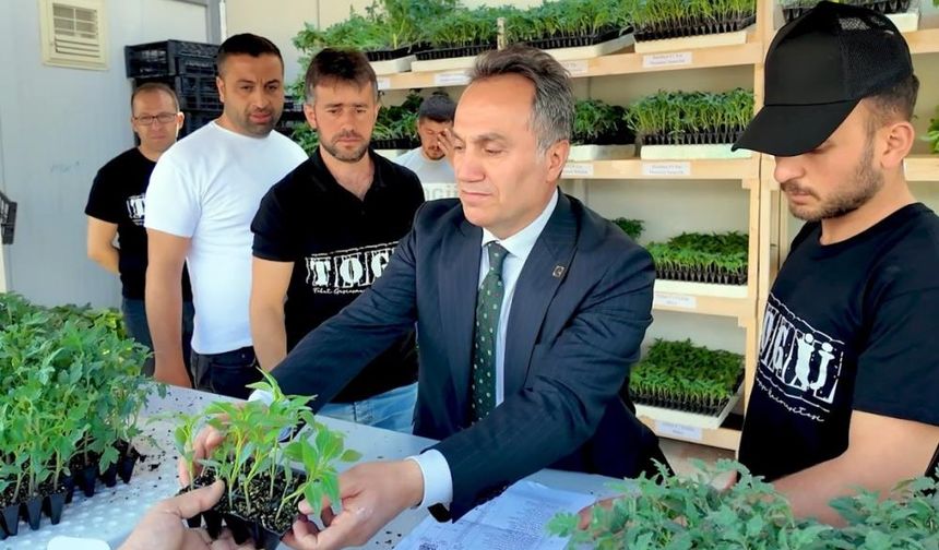 TOGÜ 1 Milyon Fideyi Üreticiyle Buluşturacak