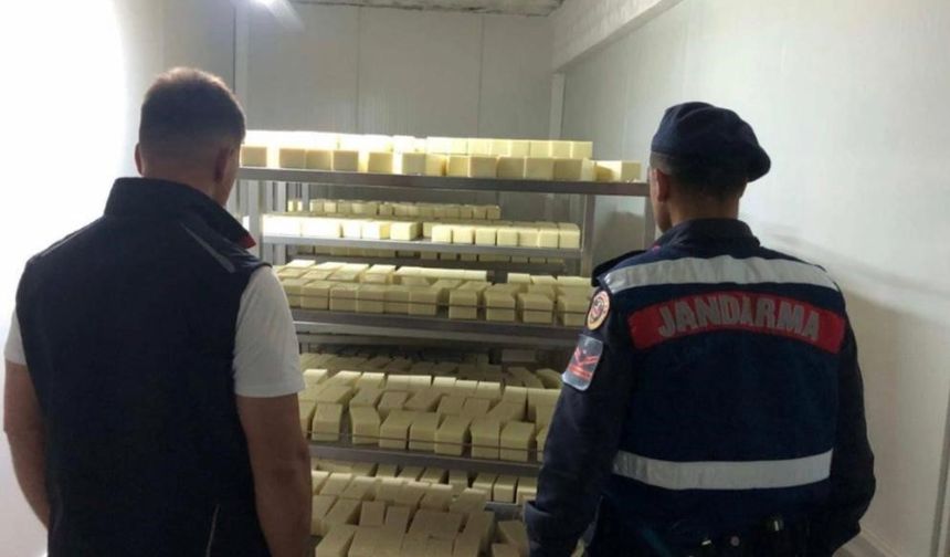 Sakarya’da 1,5 milyonluk sahte kaşar peyniri operasyonu