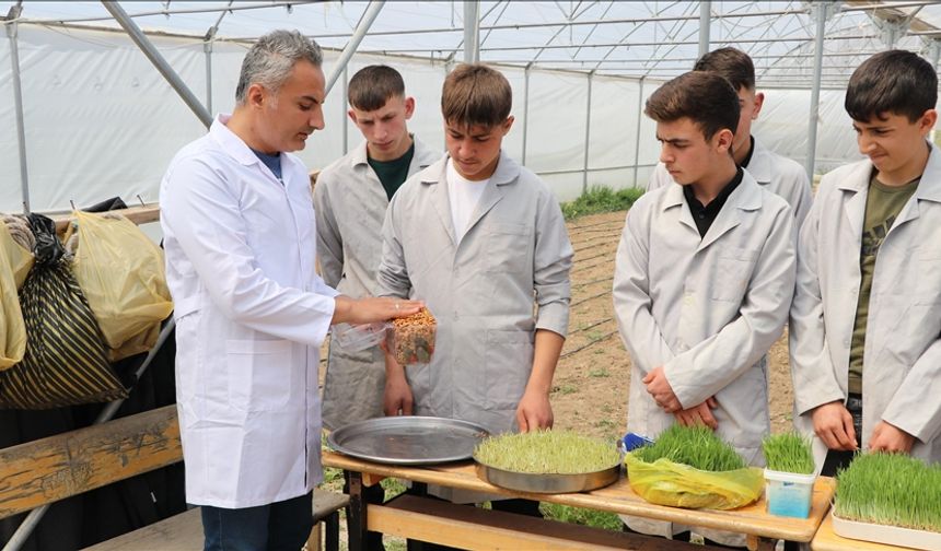 Öğrenciler topraksız tarımla elde ettikleri yeşil yemle hayvancılıkta maliyeti düşürmeyi hedefliyor
