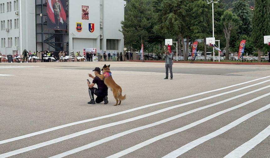 Jandarma arama köpeklerinden nefes kesen gösteri