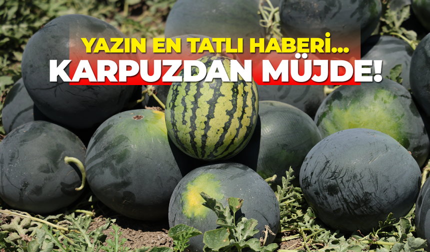 Yazın en tatlı haberi... Karpuzdan müjde!