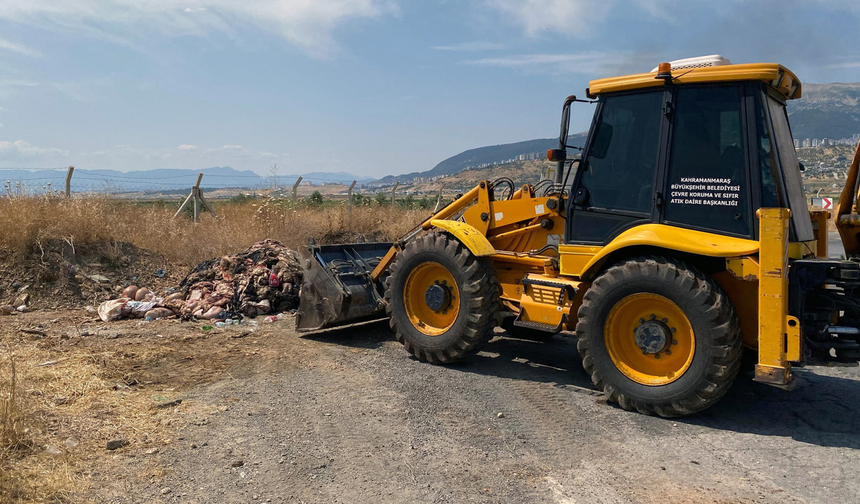 Büyükşehir, şehri hayvansal atıklardan temizliyor